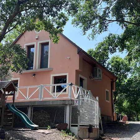 Red Stone Palkoeve 200m A Balaton Parttol Kilatassal Apartment